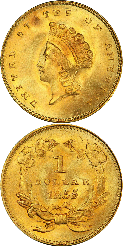 Type 2, Small Head Indian Princess Gold Dollar
