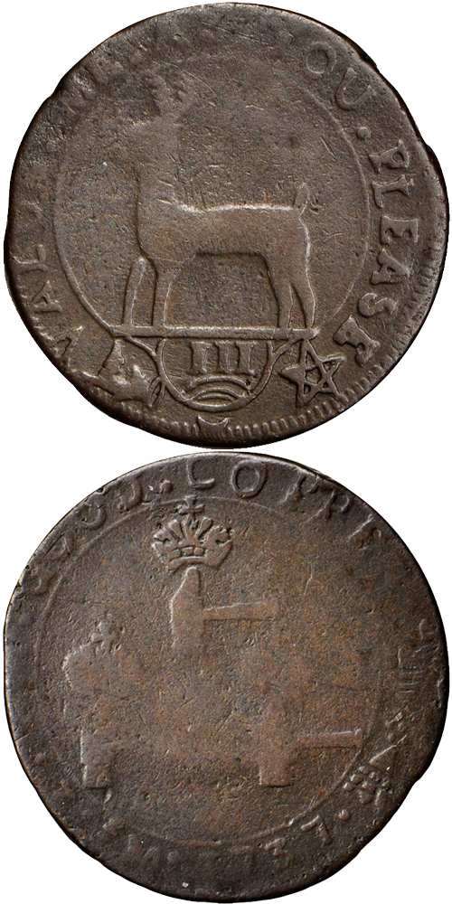 1737 Higley Copper