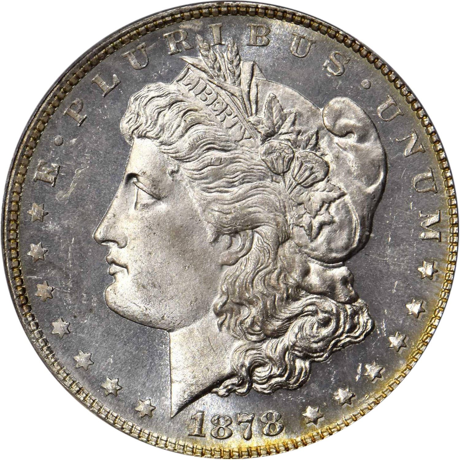 1878 7 tf reverse of 1879 morgan silver dollar