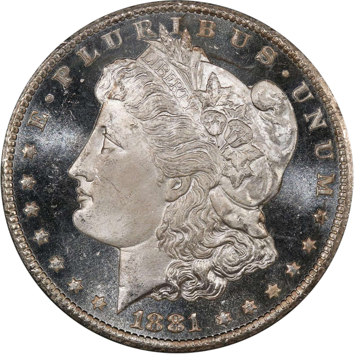 1881 carson city morgan silver dollar deep mirror prooflike