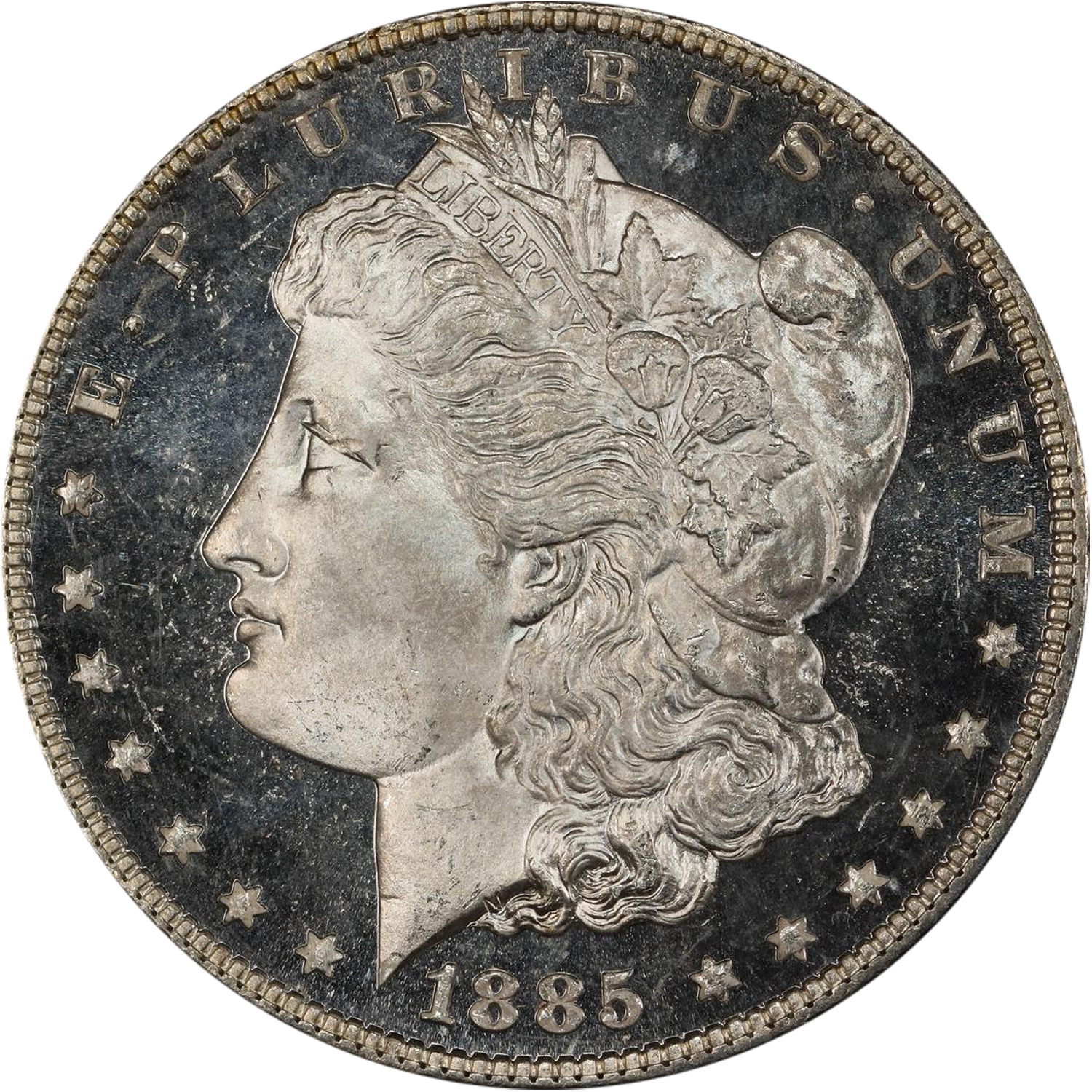 1885 p proof morgan dollar value guide