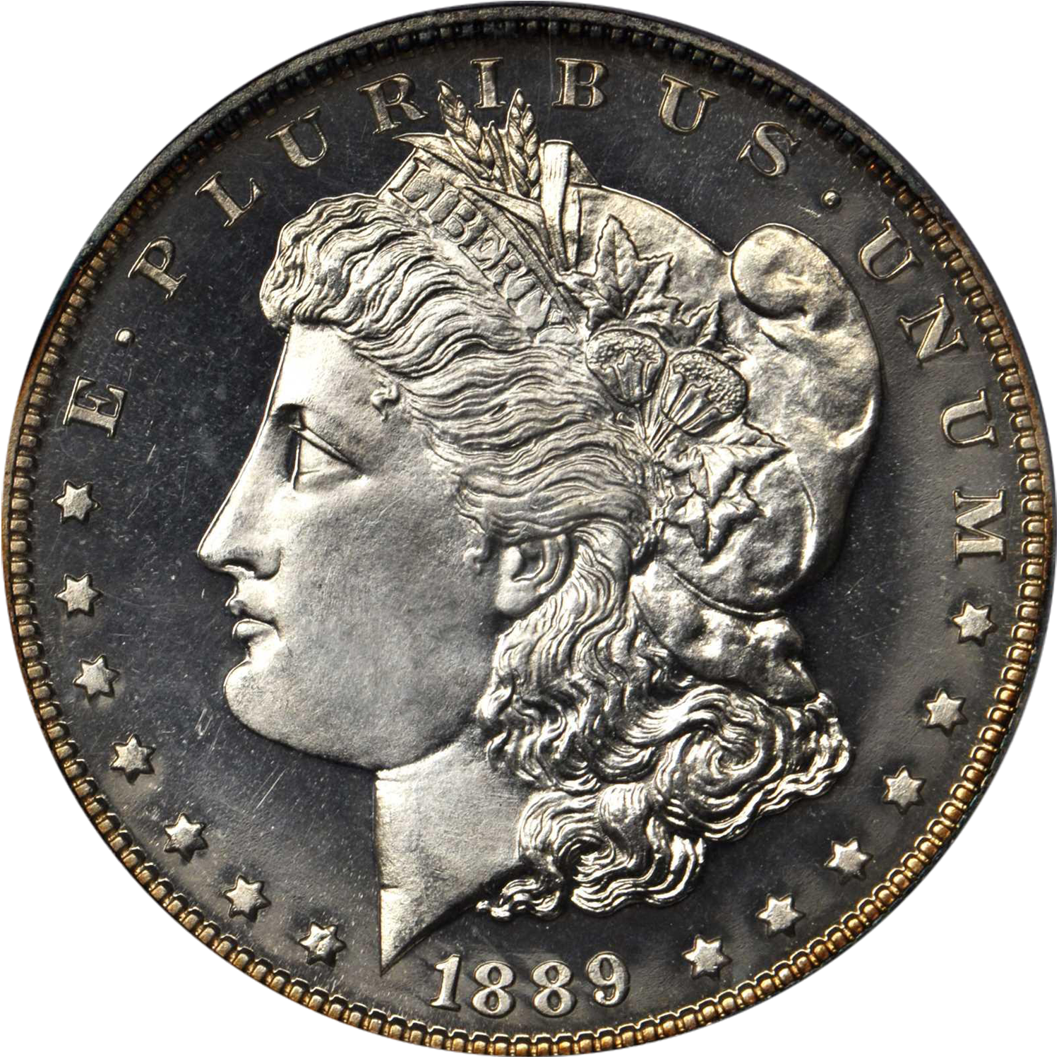 1889 p proof morgan dollar value guide