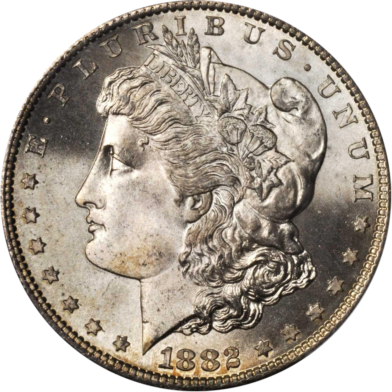 1882 san fran mint morgan dollar value guide