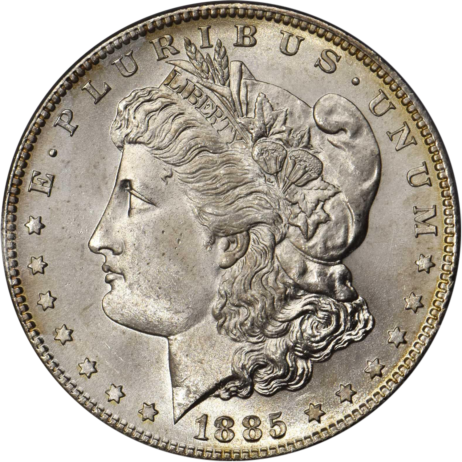 1885 s morgan dollar online value guide