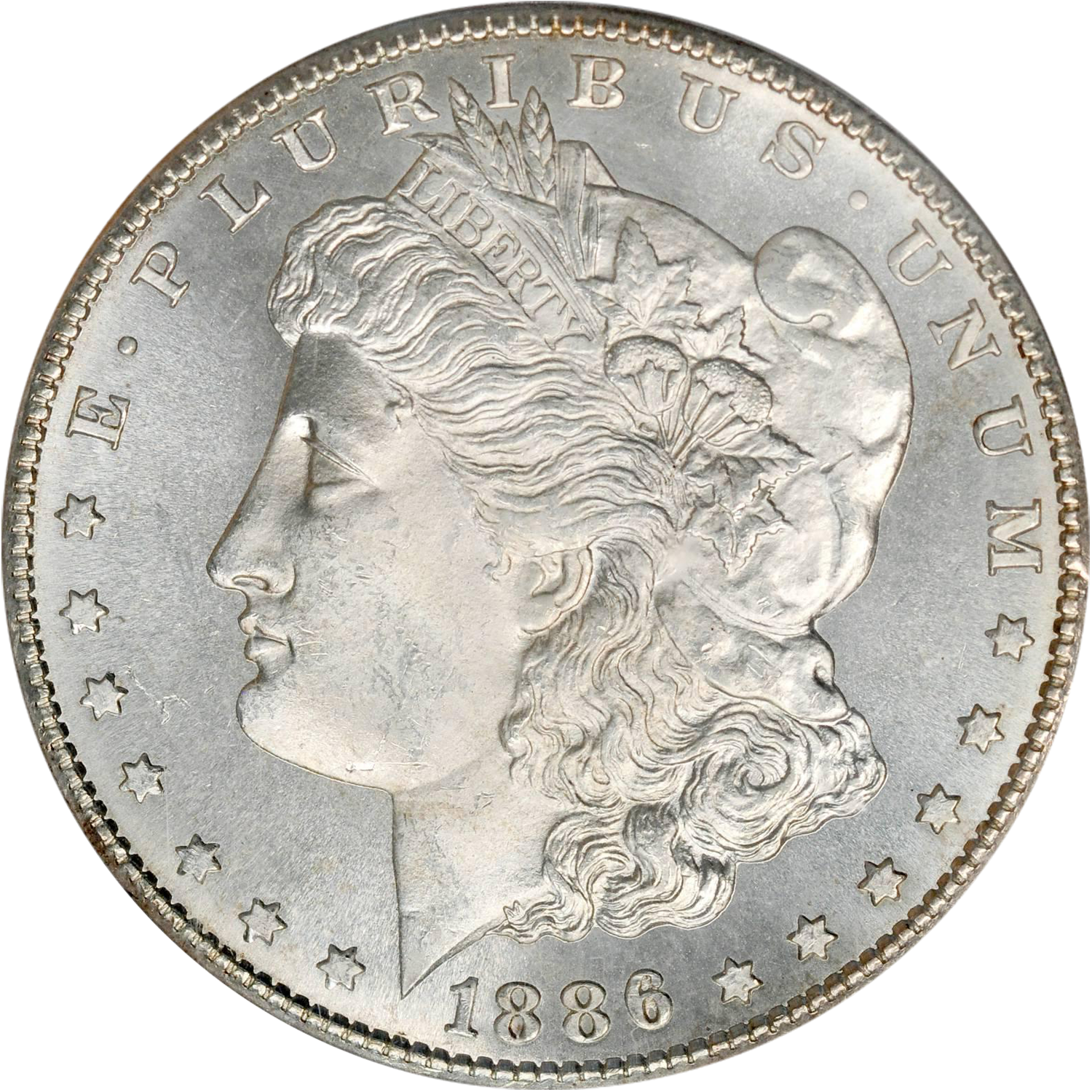 1886 s mint morgan dollar value guide