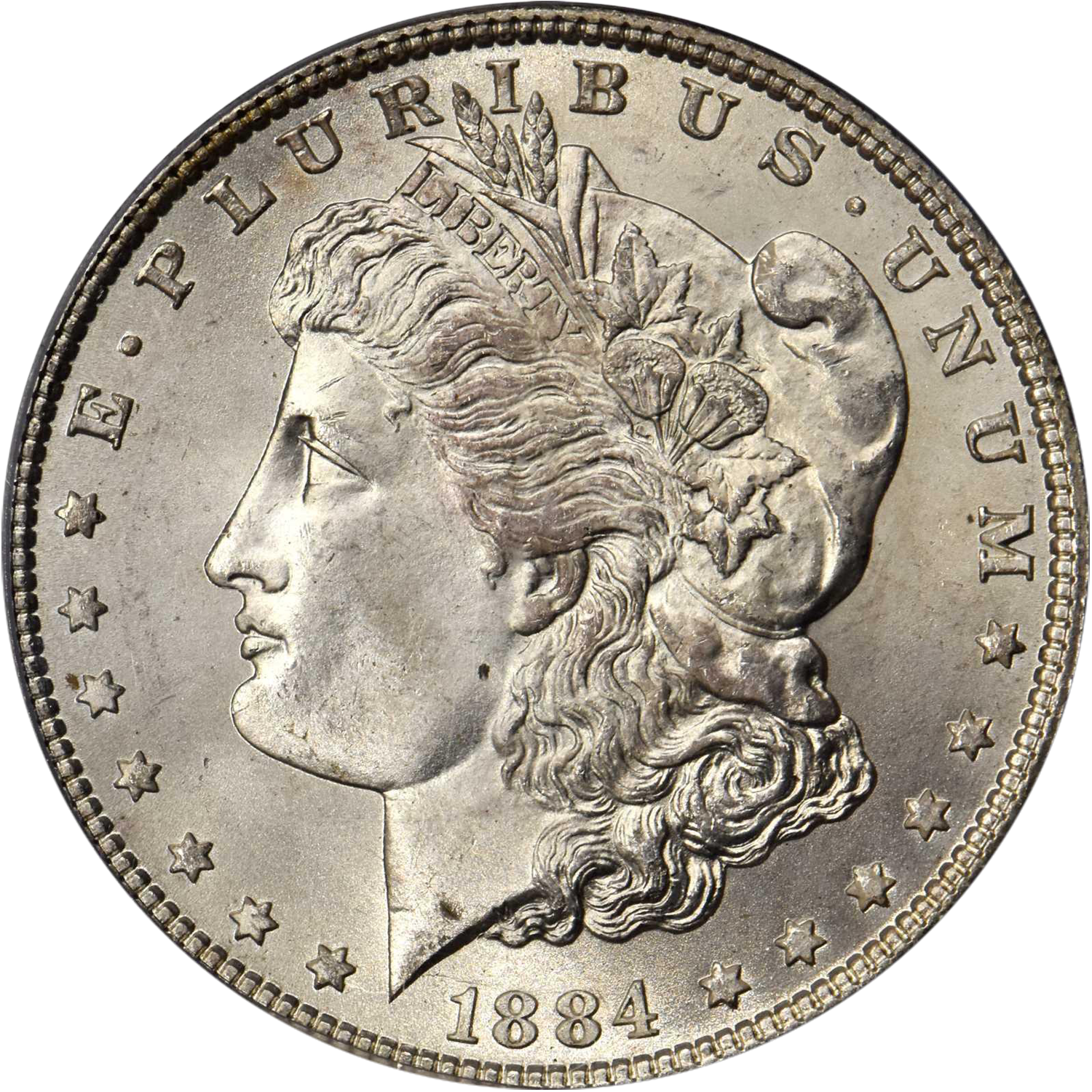 1884 p proof morgan dollar value guide