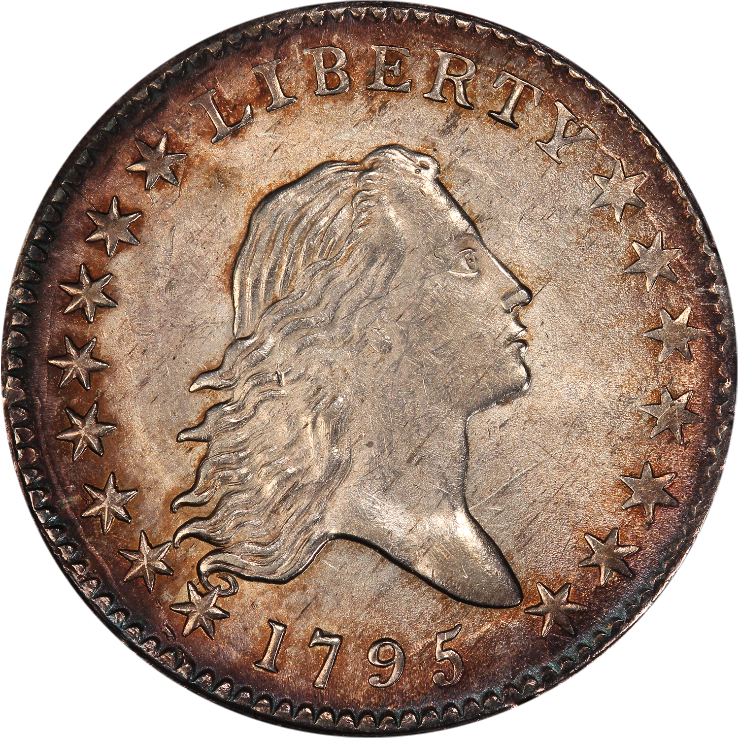 1795 1/2 dollar flowing hair with 2 leafs