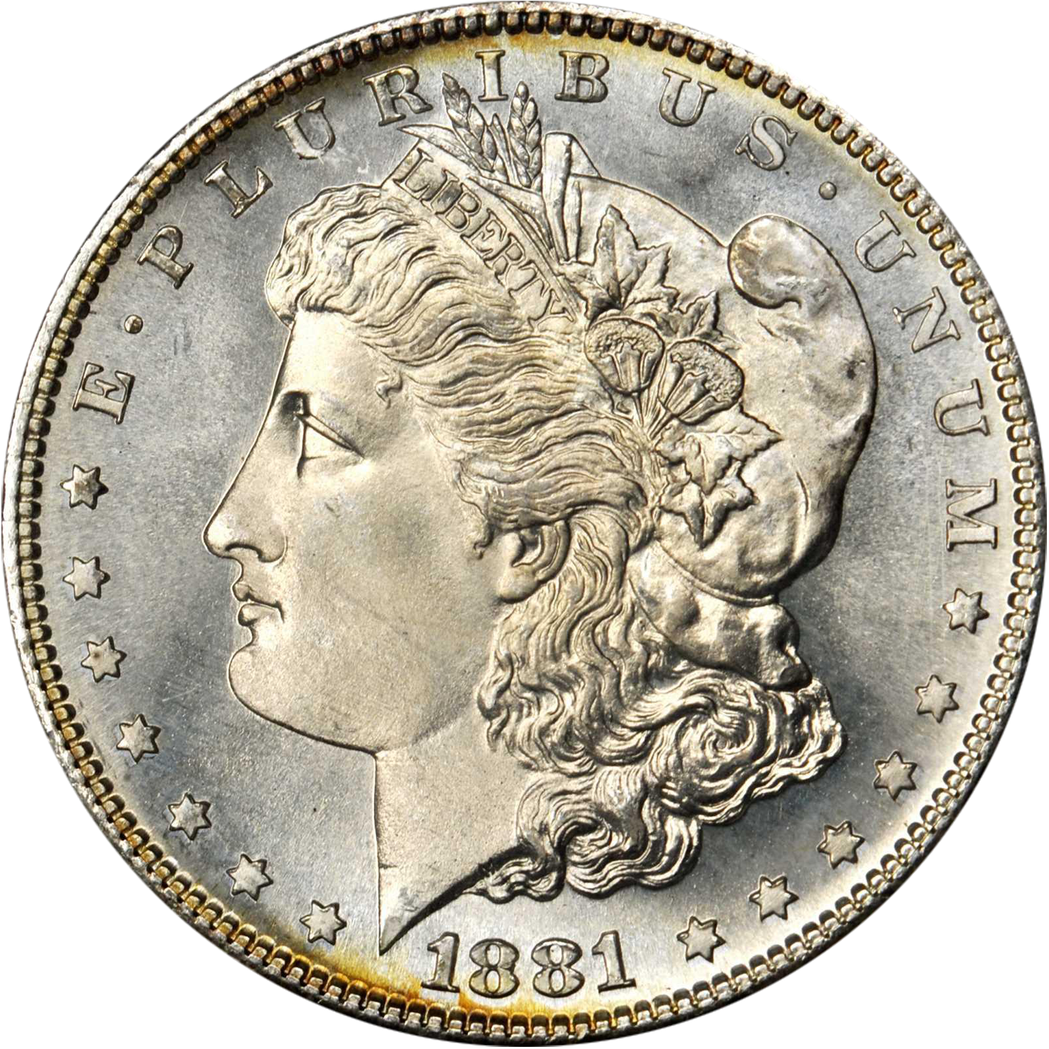 1881 s morgan dollar value guide