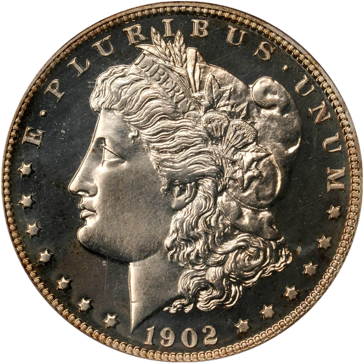 1902 philadelphia mint proof morgan silver dollar value