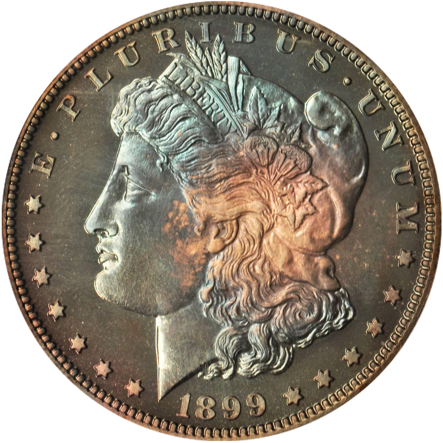 1899 philadelphia mint proof morgan silver dollar value