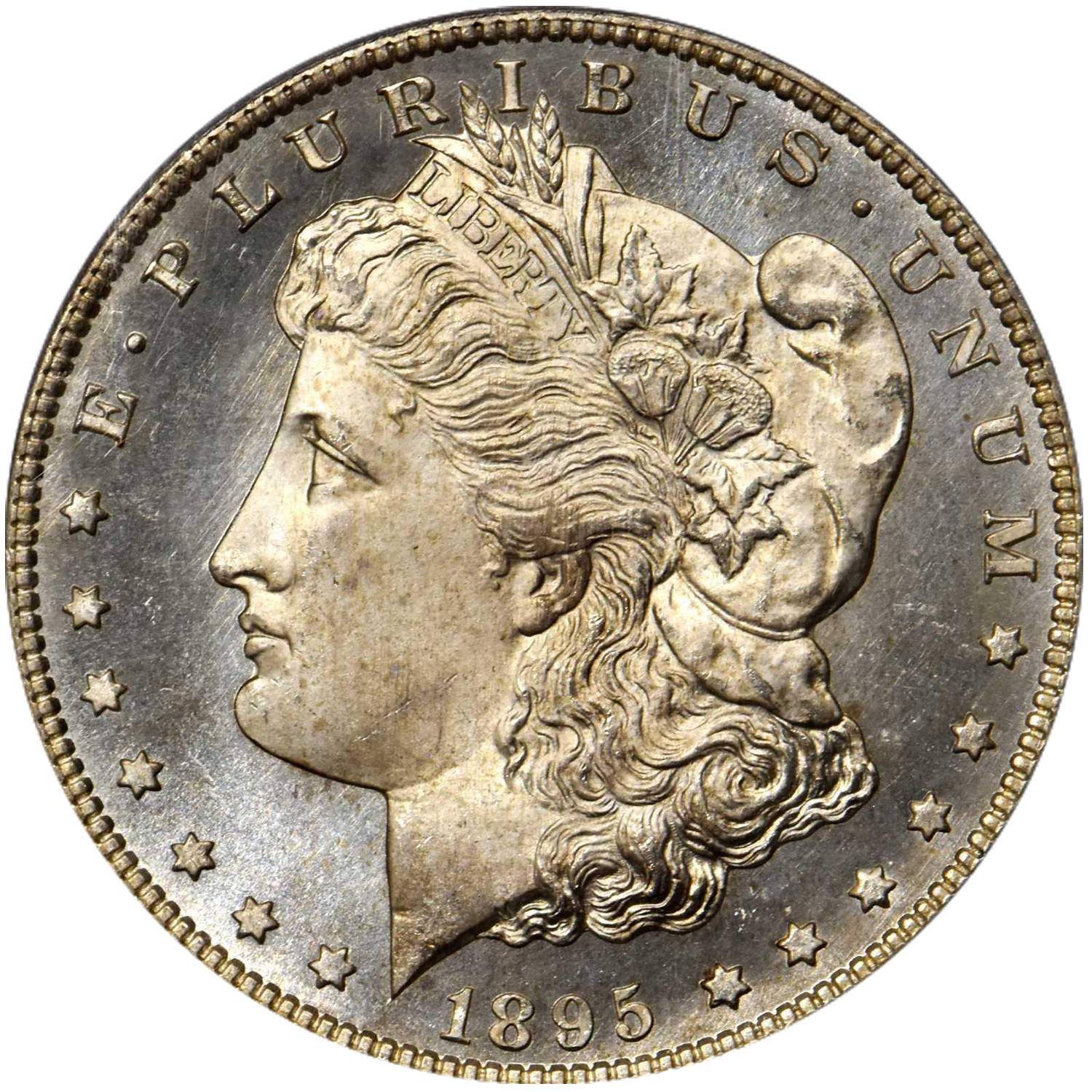 1895 san francisco mint proof morgan silver dollar value