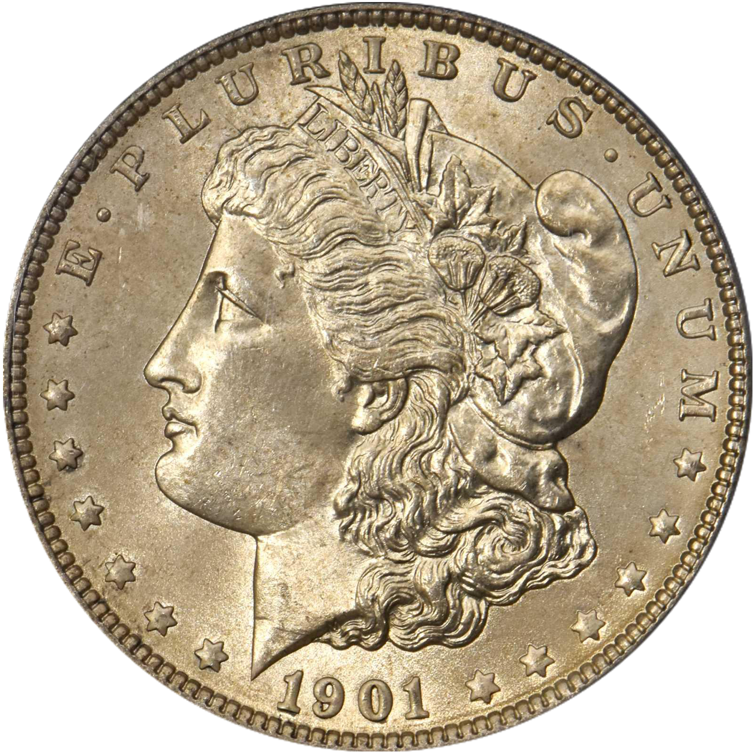 1901 philadelphia mint uncirculated morgan silver dollar value