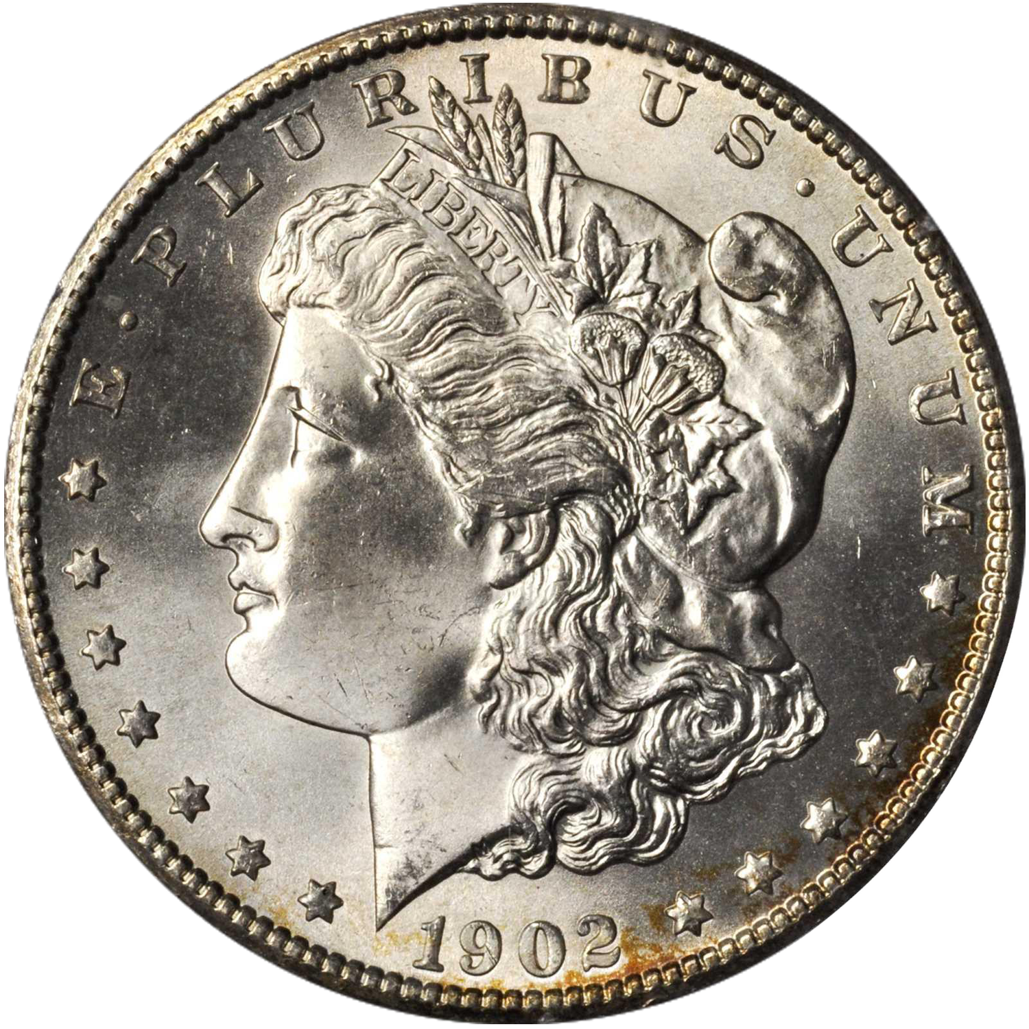 1902 san francisco mint proof morgan silver dollar value