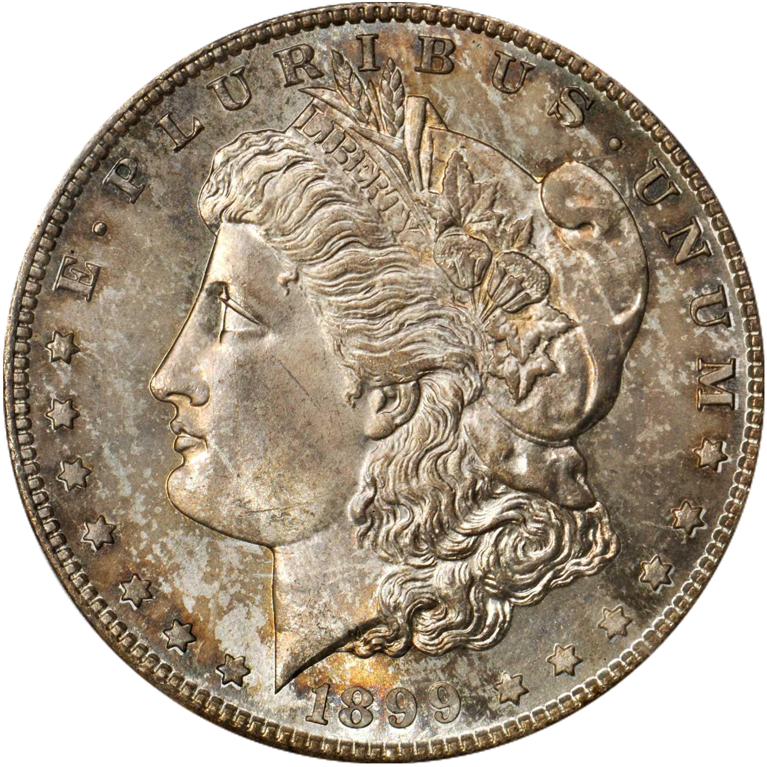 1899 s mint morgan dollar price guide value
