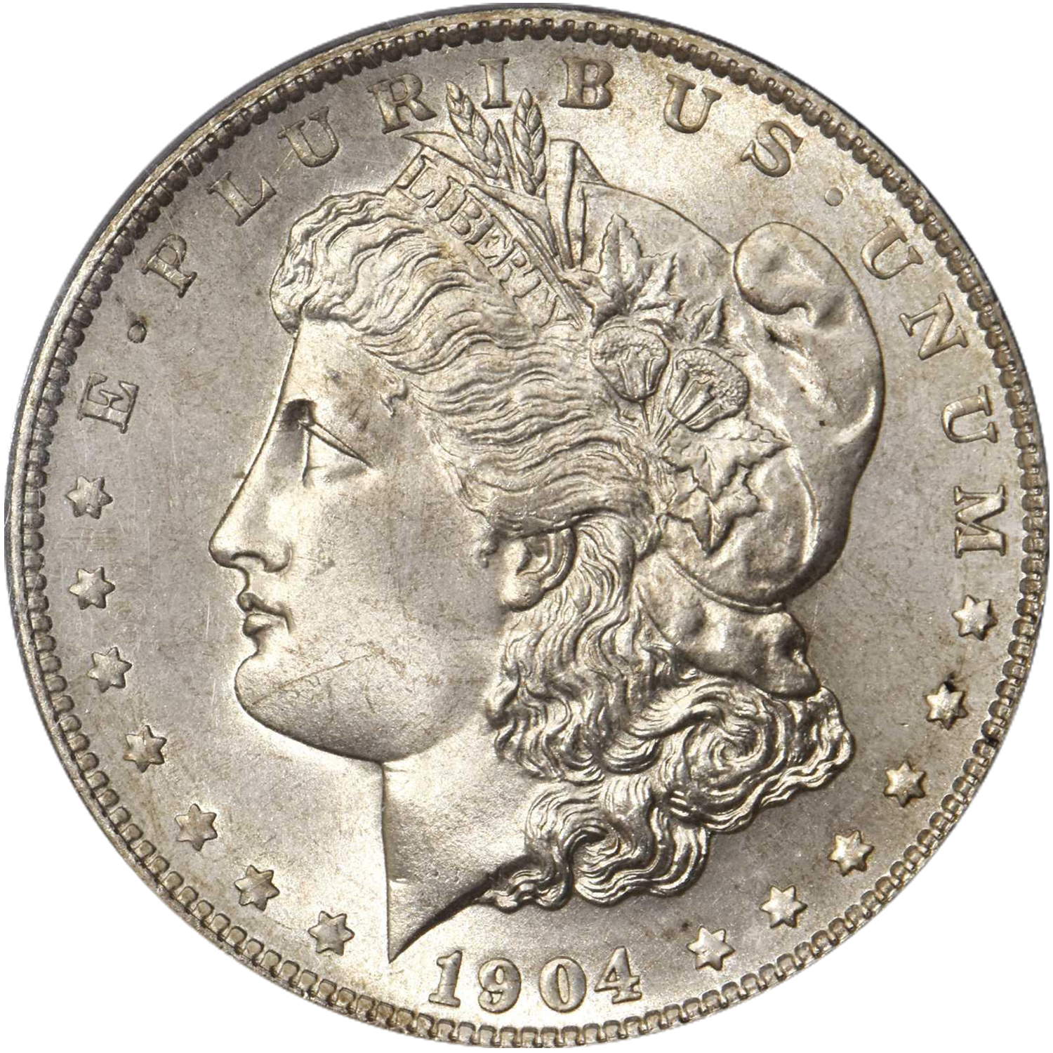 1904 s mint morgan dollar price guide value