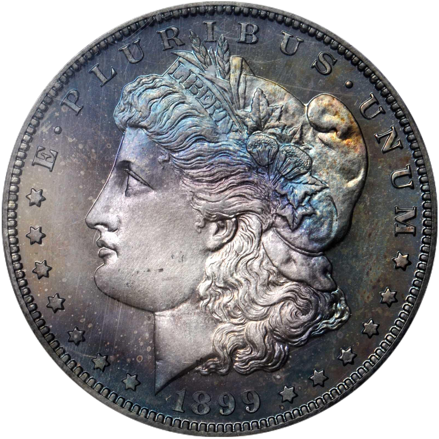 1899 mint morgan dollar price guide value