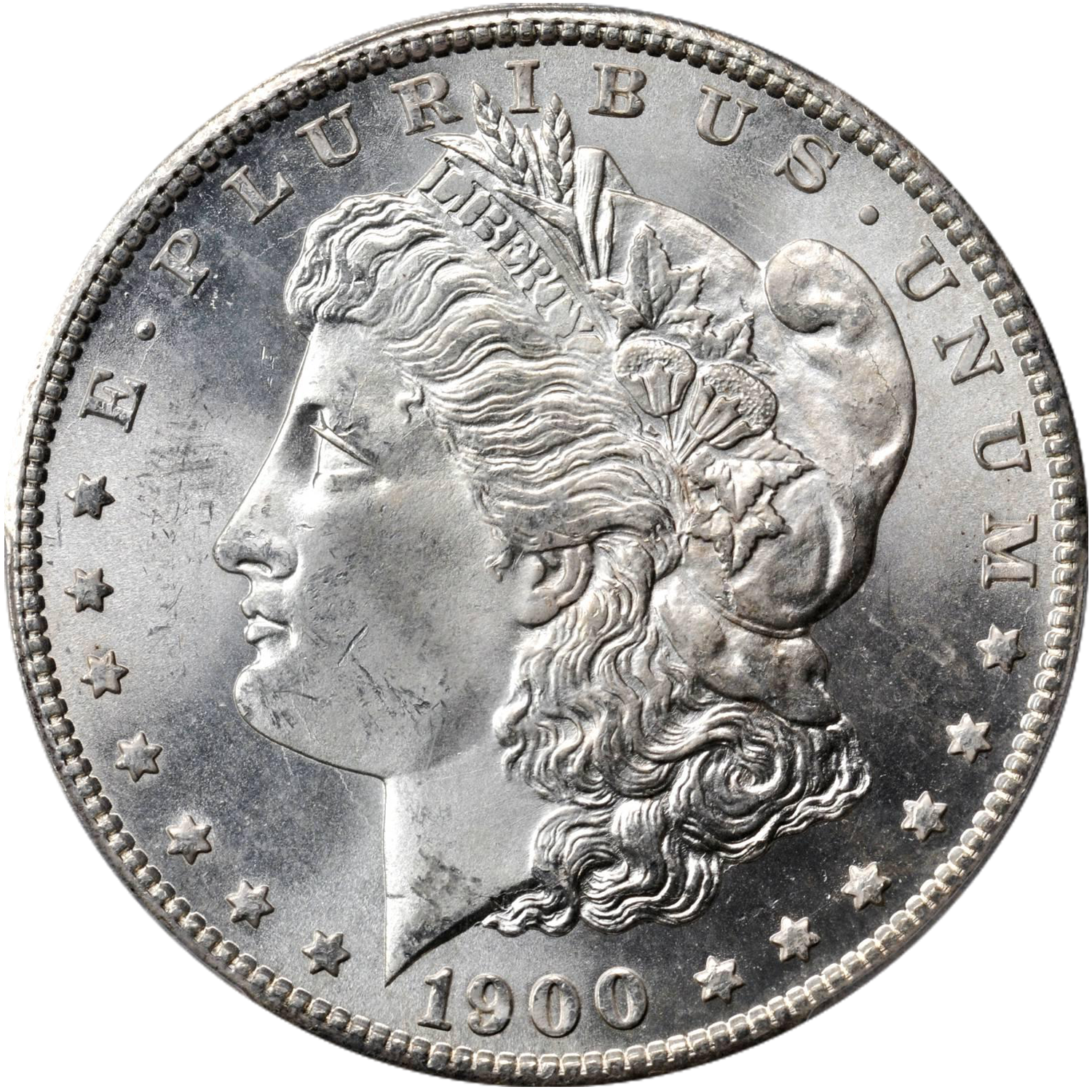 1900 s mint morgan dollar price guide value