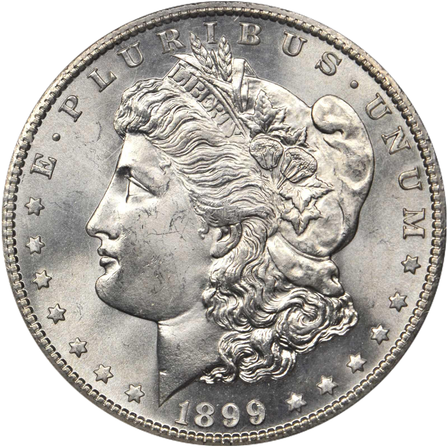 1899 s morgan dollar value guide