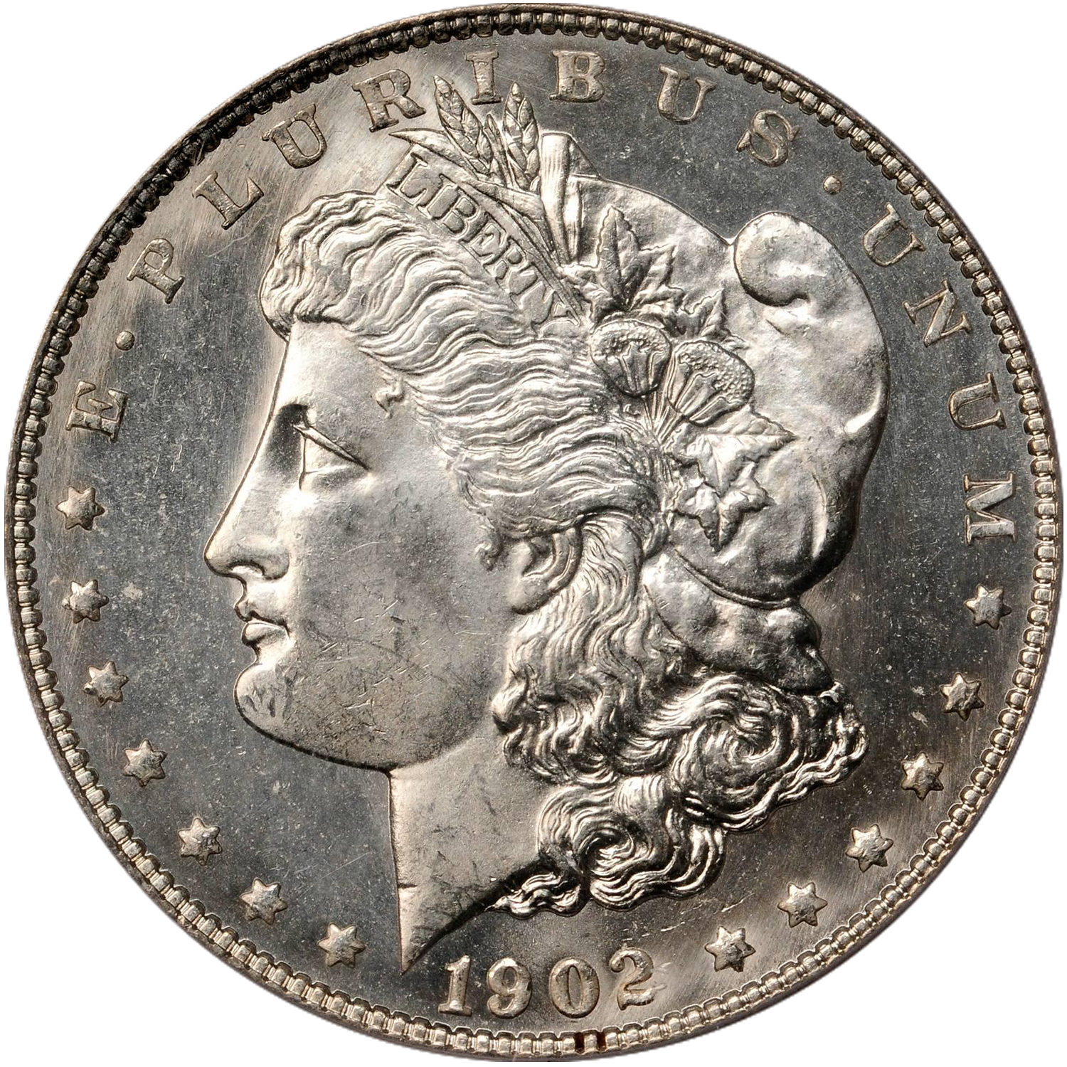 1902 philadelphia morgan dollar value guide