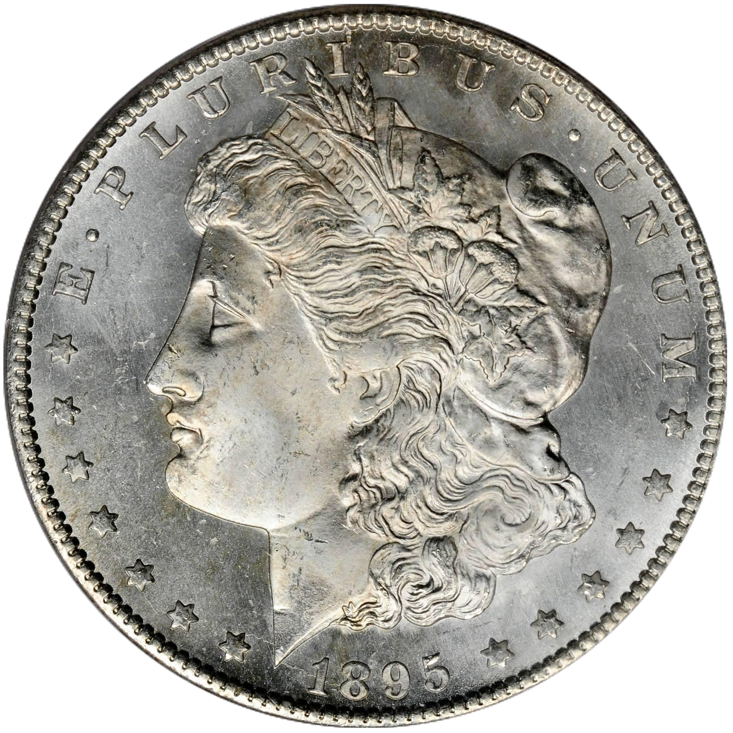 1895 s morgan dollar value guide